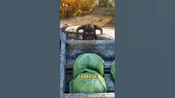 Jesper the Guard discovers the Dragonborn