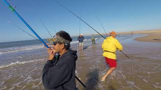 Red drum fishing Cape Island Point