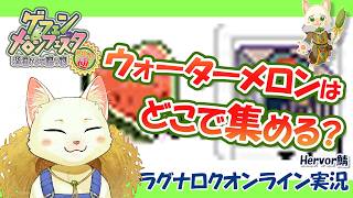 【ラグナロクオンライン】メロンフェスタでウォーターメロンどこで集める？【Vtuber/猫草ミント】