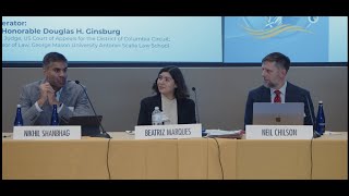 27th Annual George Mason Law Review Antitrust Symposium: Panel Two