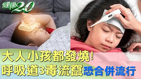 大人小孩都发烧！呼吸道3病毒流窜 医：恐合并流行 健康2.0 @tvbshealth20 - 天天要闻