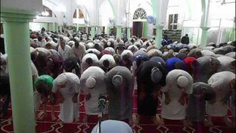 صلاة العشاء من مسجد السنة يوم 21رمضان 1437 هـ تلاوة عطرة من شيخ سي الميلود