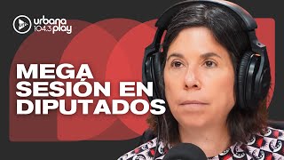 Sesión clave en Diputados, cruce en el Senado por el Garrahan y previos a las elecciones #DeAcáEnMás