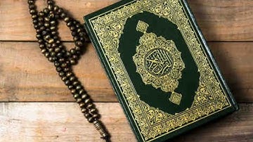 تلاوة من سورة البقرة من الآية 203 حتى الآية 230 بصوت الشيخ هاني الرفاعي.