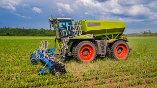 Plečkovanie kukurice 2023 | Claas Xerion 4200 Saddle Trac | Cropper 12 f