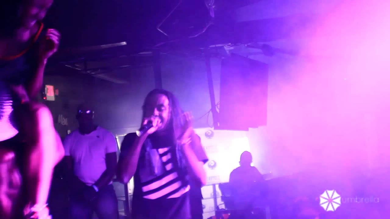 The Wildest Party Ever Youtube