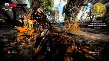 Witcher 3 - Precious Cargo Quest