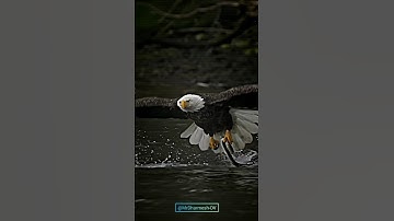 *RajkumarAttitude_DialougeKing__😱😱BestDialogue_Of_Rajkumar🔥🔥#viralvideo #rajkumar_dialogue