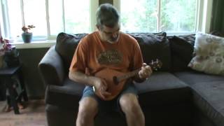 homemade mando uke, i.e. mandolin/ukulele hybrid