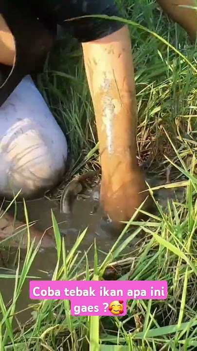 Tebak ikan apa ini? 🥰 #outdoors #fishing #survival #hunting #jiaamalia20 #jiasurvivalskills #cooking