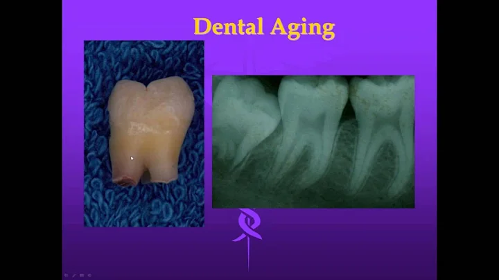 AAFS Career Webinar (Odontology)