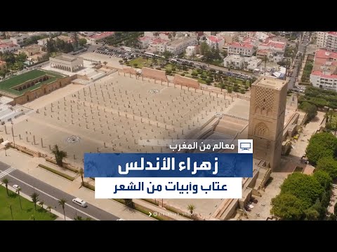 سلطان المرواني يكشف لماذا عاتب إمام جامع قرطبة الخليفة الأندلسي عبد الرحمن الناصر