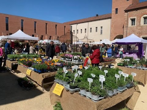 Fiorissimo 2023 e Sapeg al Castello di Novara