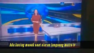 Download lagu Kucing masuk saat siaran langsung Metrotv