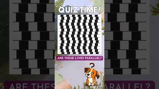 Famous Parallel Lines Illusion #shorts Wealth