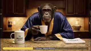 Download lagu Soulai - Mpilo(Remix) | Musiq Promos | Soulful Deep House