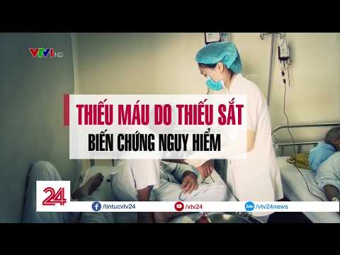 Video: Thiếu Máu Do Thiếu Sắt ở Mèo