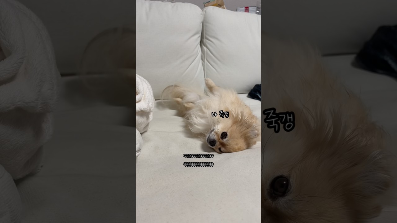명절 증후군 걸린 갱이씨