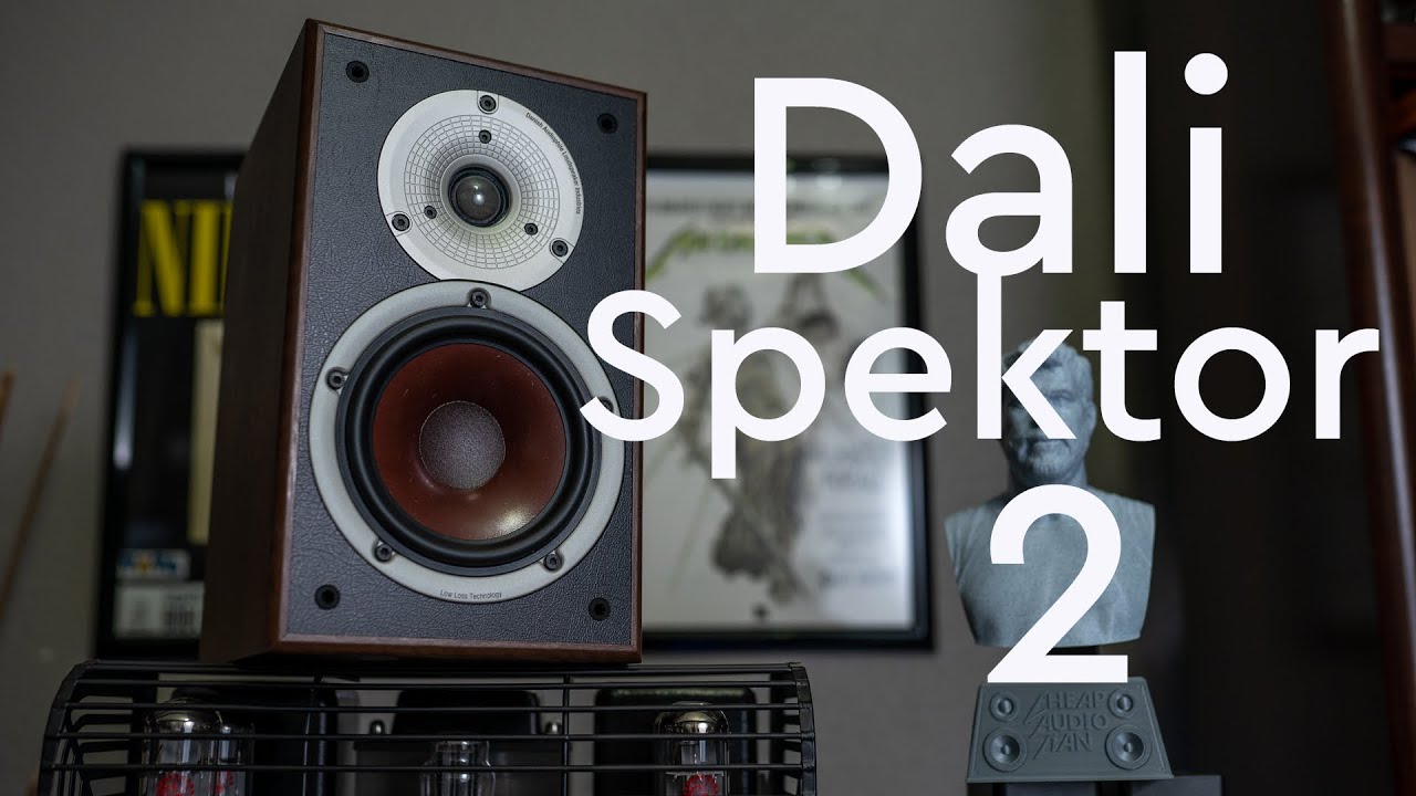 Dali Spektor 2 Review - A Danish Gentleman with Viking Roots 