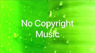 DayFox - Jungle (Vlog No Copyright Music)