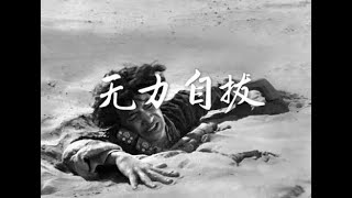 201401 无力自拔30658