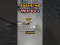 크레스티드게코 쳇바퀴 타다 2 (Crested gecko rides the treadwheel 2.)