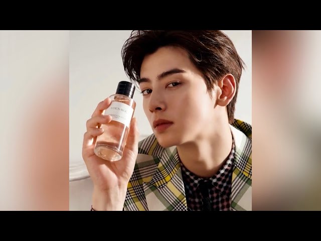 Cha Eun Woo On The New Dior La Collection Privée Dioriviera