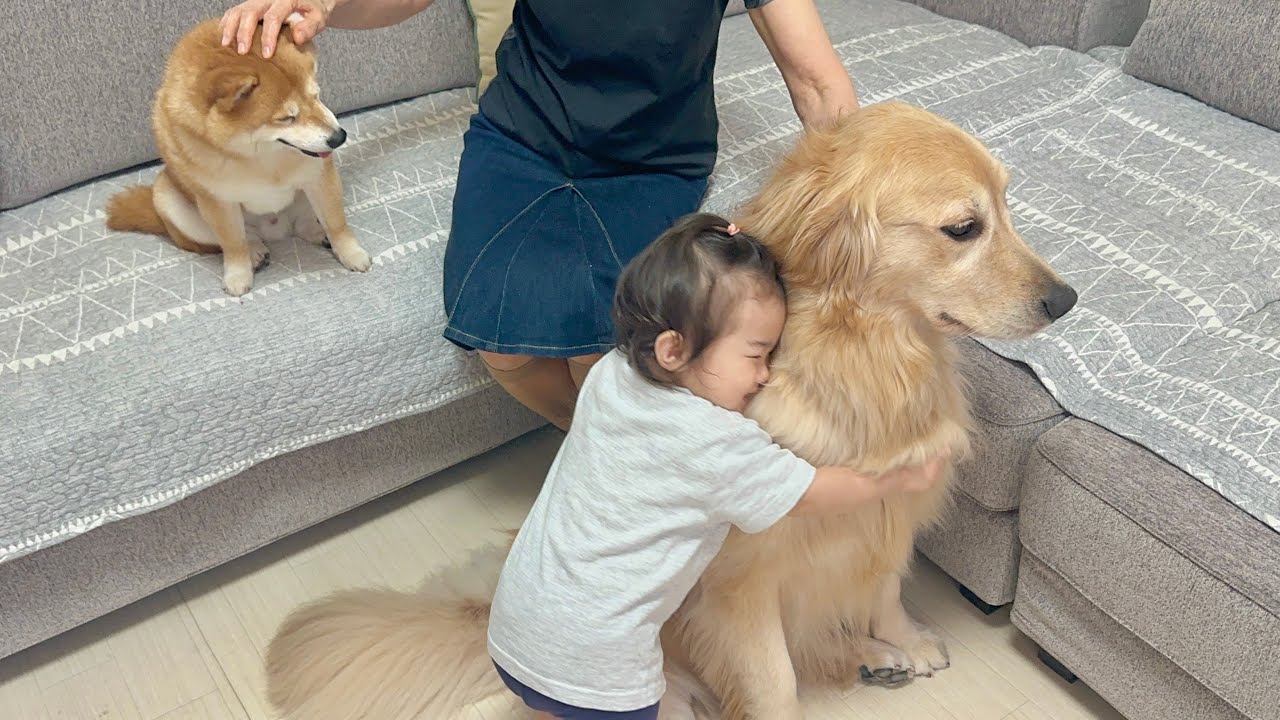 バイバイというとお別れだと勘違いした1歳児に必死に引き留められる