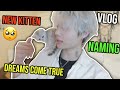 shy asian boy meets Not Shy Asian Cat - “I FINALLY GOT A KITTEN…😭 ”