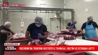 ERZURUM'DA TKDK'NİN DESTEĞİYLE TARIMSAL ÜRETİM VE İSTİHDAM ARTTI