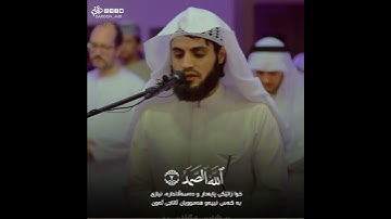 سورة الاخلاص القارئ رعد الكردي تلاوة خاشعة جميلة راحة نفسية حالات واتس اب دينية القران الكريم