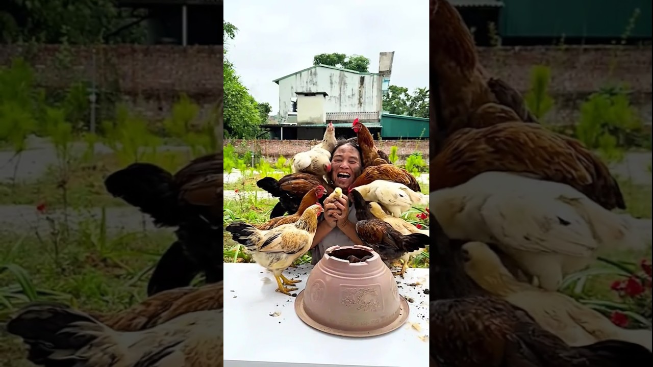 Feisty flock vibes 🐔💥 on the farm!