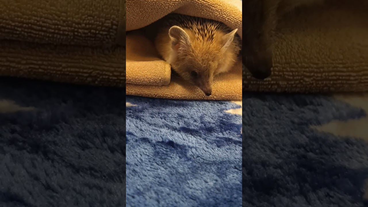 🤭🎩Господа, я удаляюсь!