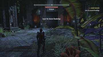 ESO Murkmire: Sunken Treasure (how to lower the drawbridge)