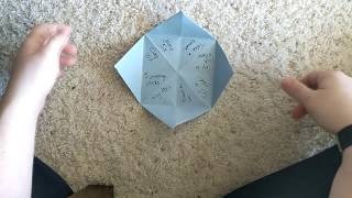 Details Sight Word Fortune Teller Guide
