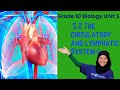 Grade 10 Biology Unit 5 5 2 The Circulatory And Lymphatic System Saquama 