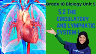 Grade 10 Biology Unit 5: 5 . 2 The circulatory and lymphatic  System | Saquama