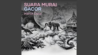 Download Lagu Suara Murai Gacor Download Lagu Suara Murai Gacor