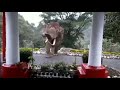 Munnar Don Padayappa (Wild elephant)