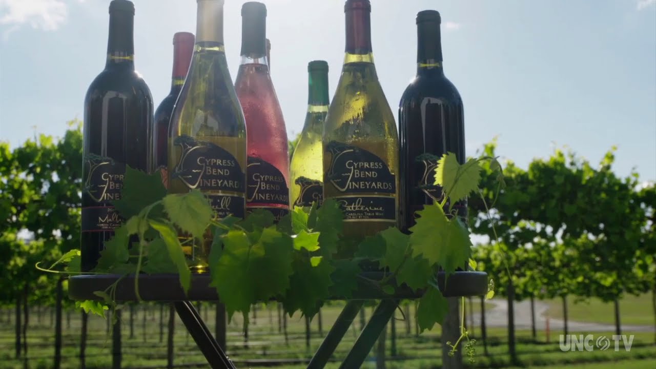 Cypress Bend Vineyards | NC Weekend | UNC-TV