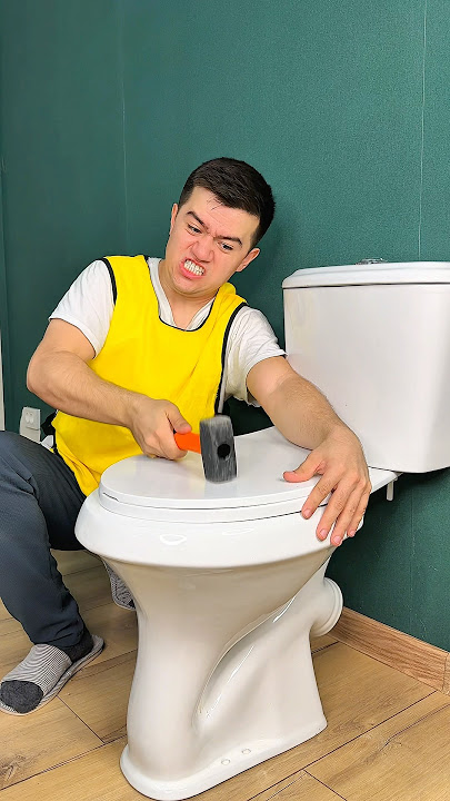 who closed the toilet lid?🚽💩😡