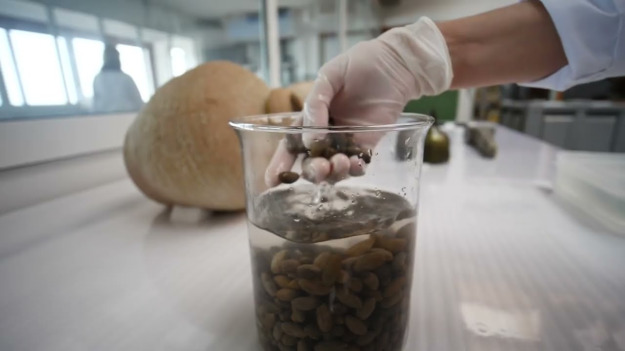 Instituto Andaluz del Patrimonio Histórico - IAPH