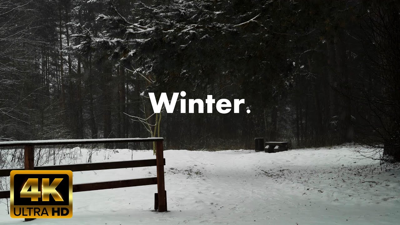 4K HDR Snowy Landscape - Tranquil Snowfall & Cozy Winter Sounds - Deep Relaxation