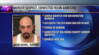 Murder suspect, convicted felon arrested in Hardin