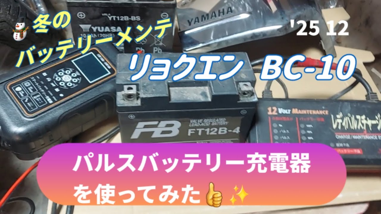 DS4 今どきのパルスバッテリー充電器を買ってみた👍️✨