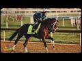 Analyzing Just a Touch and Catching Freedom before the 150th Kentucky Derby | NBC Sports