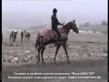 Скачки Анди 24.02.2013 год