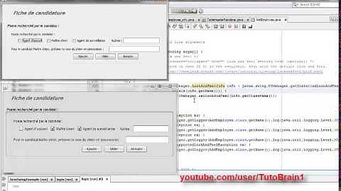 How to change look and feel java netbeans