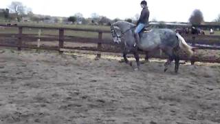 DSCF8995.AVI