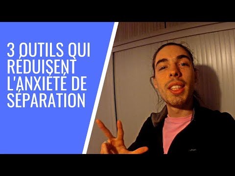 Vidéo: 6 Solutions Pour L'anxiété De Séparation Du Chien